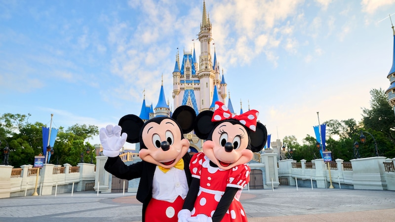 Ingressos Disney