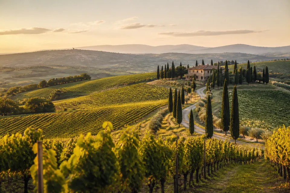 Vinhedos e colinas da Toscana com ciprestes e uma casa histórica
